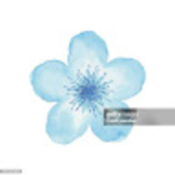 camille123620